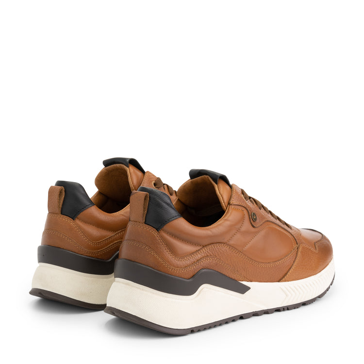 Cortland St. Cognac BD