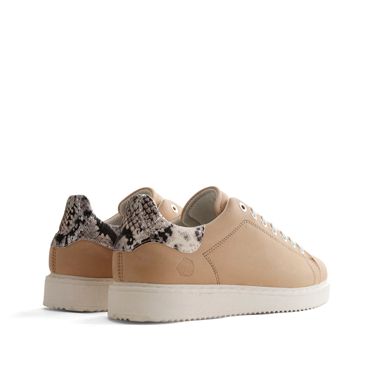 A.J.Gabriel Salmon BD