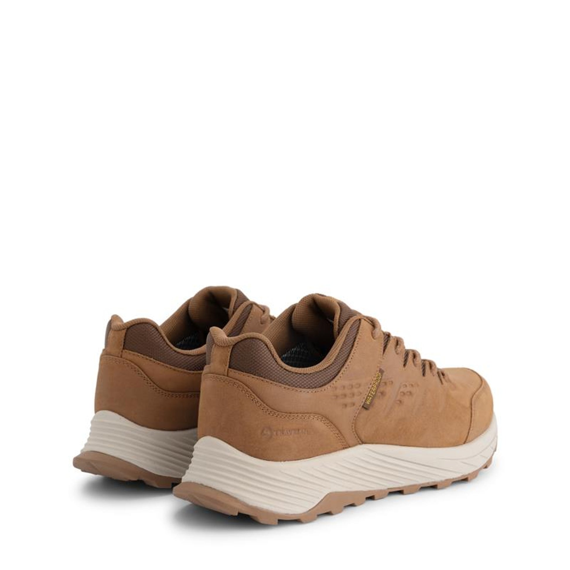 Stege Cognac BD