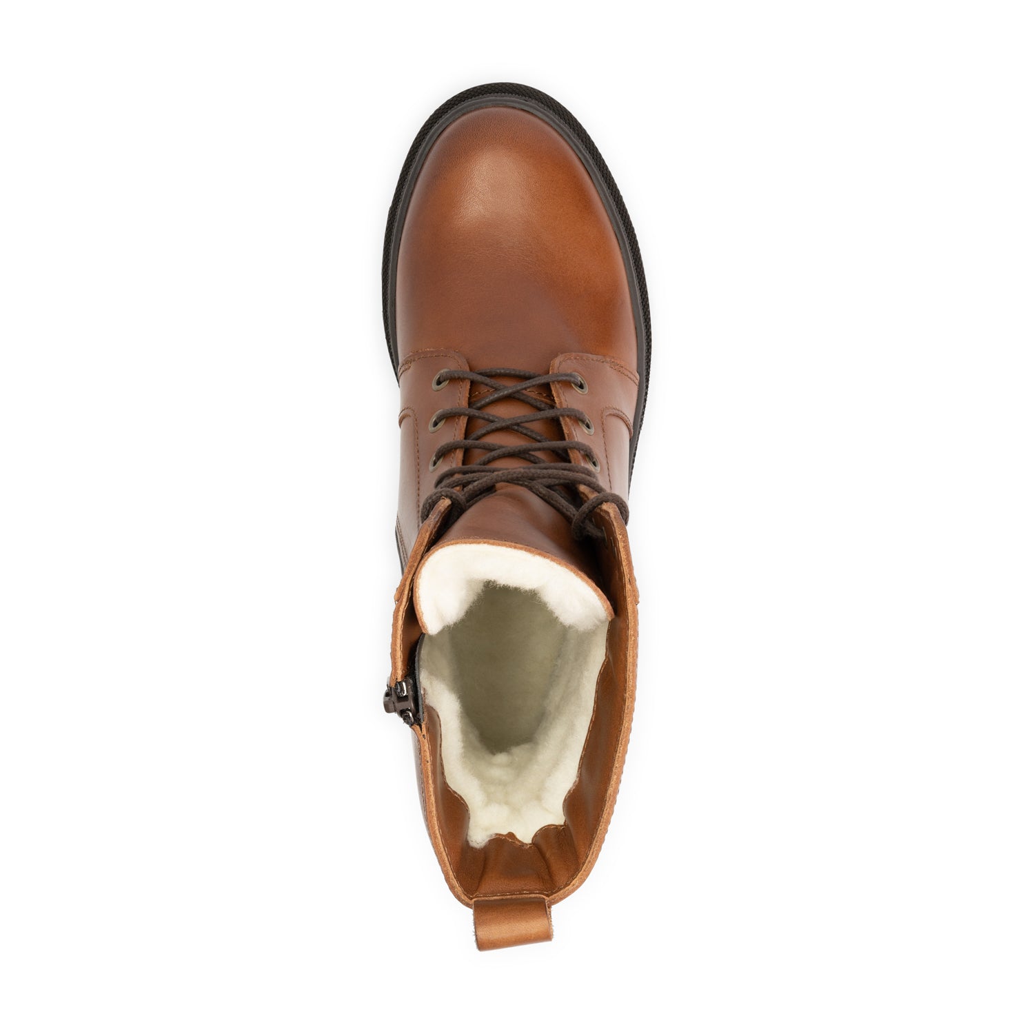 Aster - Cognac UPS