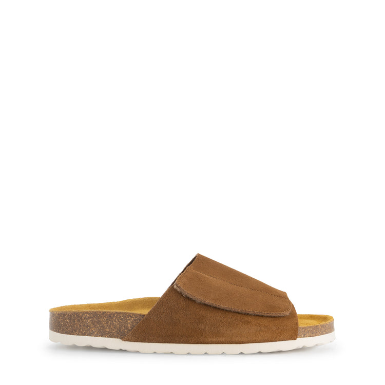 Amot Brown R