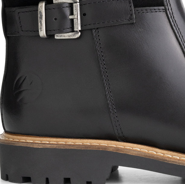 Hestnes Lady Black DFH