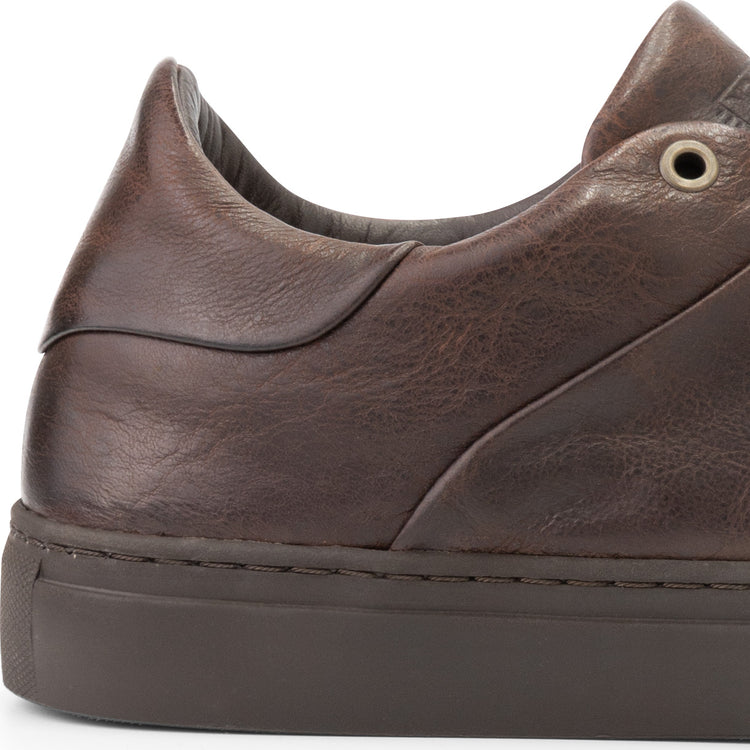 Wayne St. Brown DFH