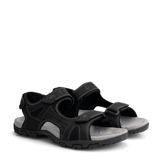 Horten Black FRD