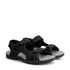 Horten Black FRD
