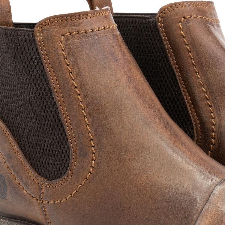 J.Webb Lady - Cognac DFW