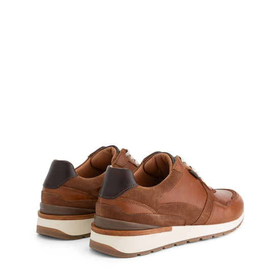 Northam Cognac BD
