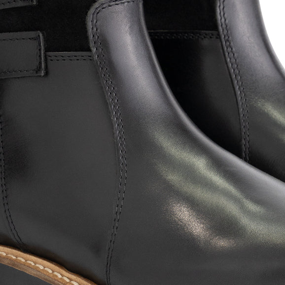 Hestnes Lady Black DFW