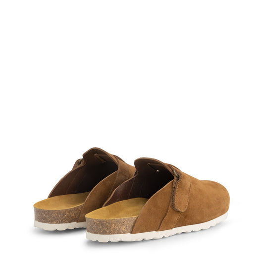Tannas Brown BD
