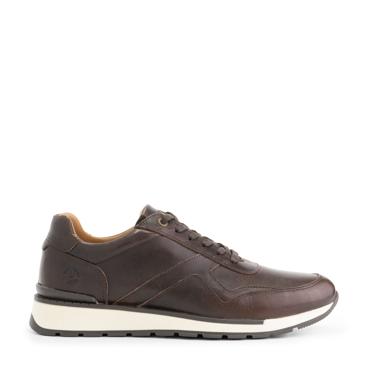 Walgrave Men Brown R