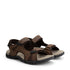 Horten Brown FRD