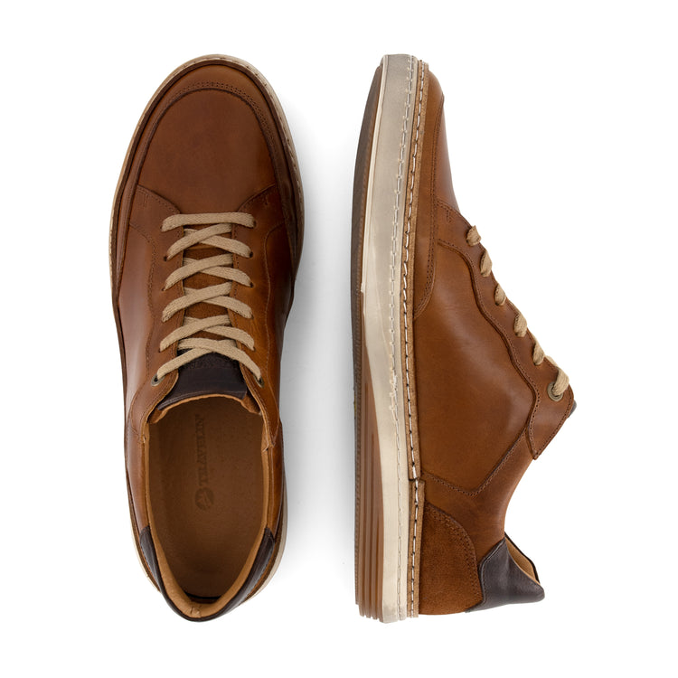 Northampton Men Cognac UPD