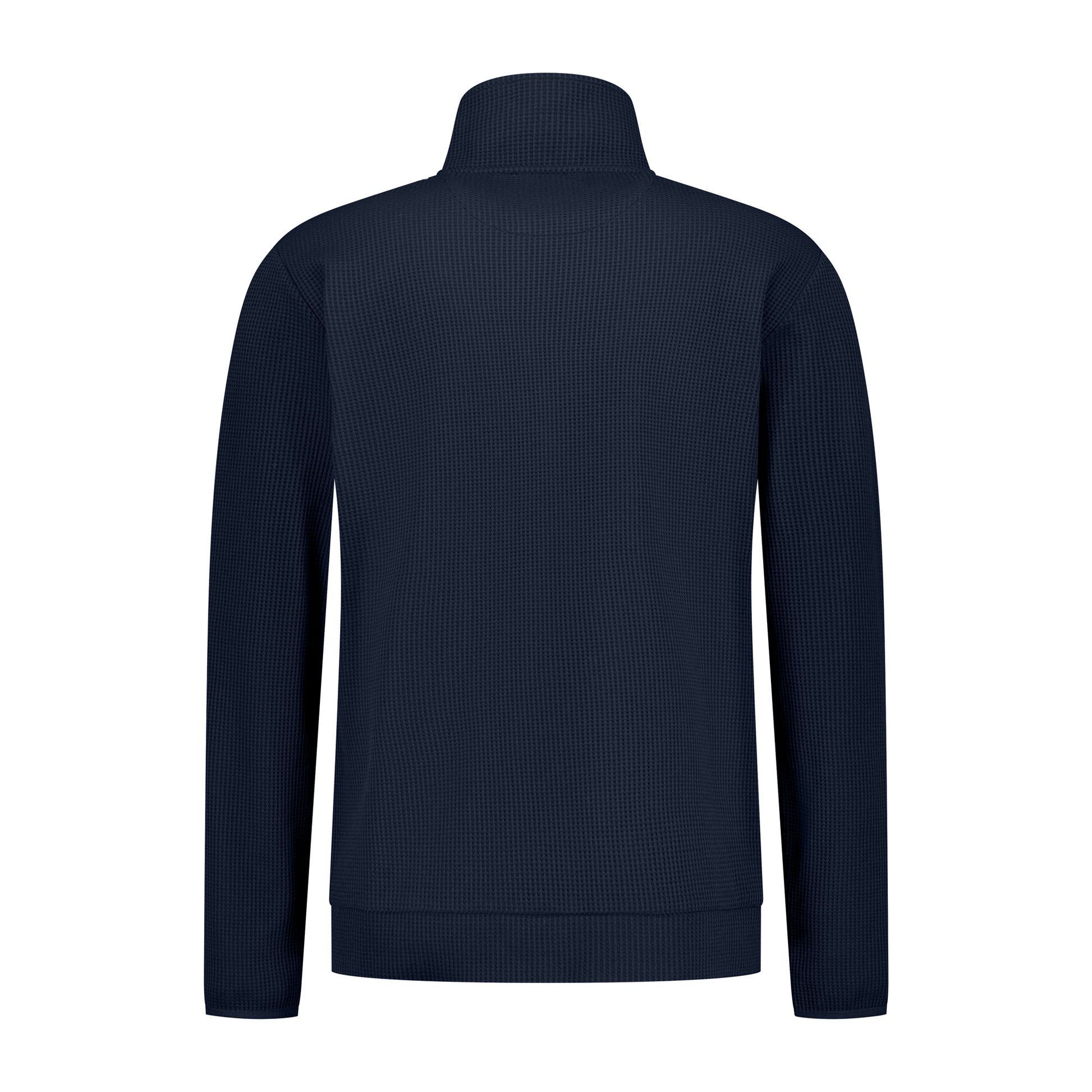Pavo Navy B