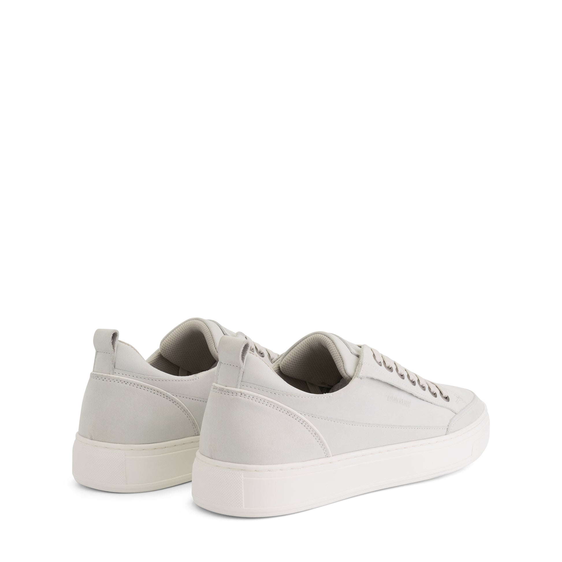 Camber White BD