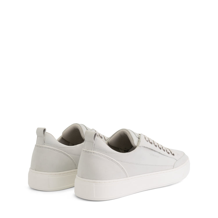 Camber White BD