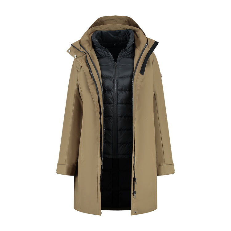 Ginser Brown CVO