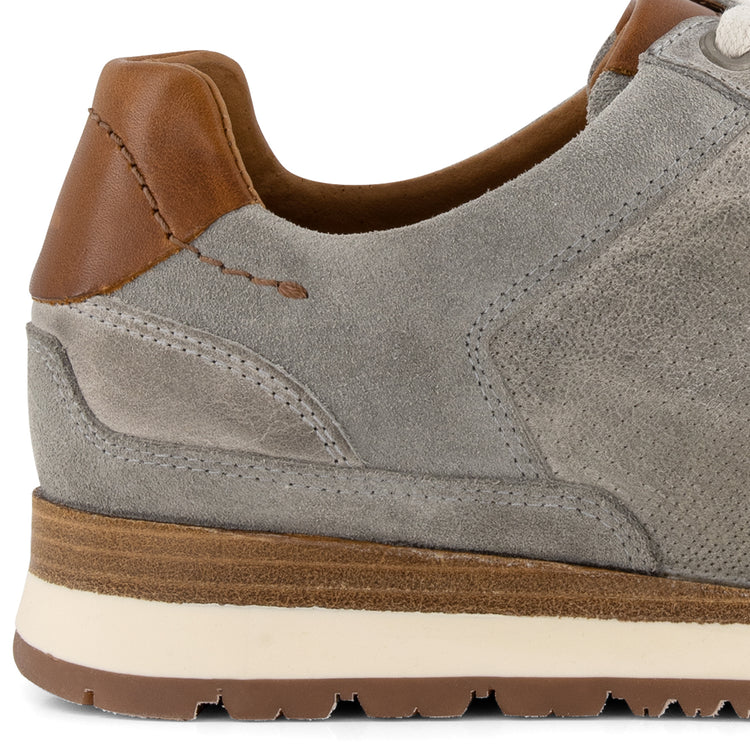 Worcester Men Grey DFH